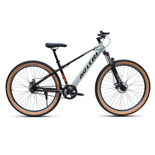 Magnite 29" Single Speed - SILVER