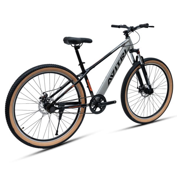 Magnite 29" Single Speed - SILVER - Image 3