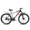 Ignite 29" Single Speed - GREY/BLACK