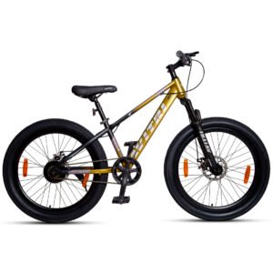 Fatlux-24 Single Speed Disc Brake  Kids-Mountain Cycle