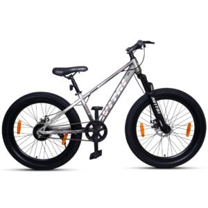 Fatlux-24 Single Speed Disc Brake  Kids-Mountain Cycle