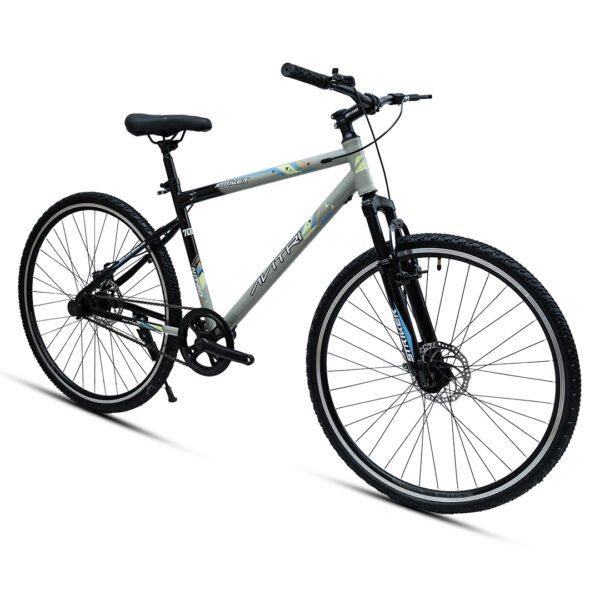 Striker 700C Multispeed - GREY - Image 2