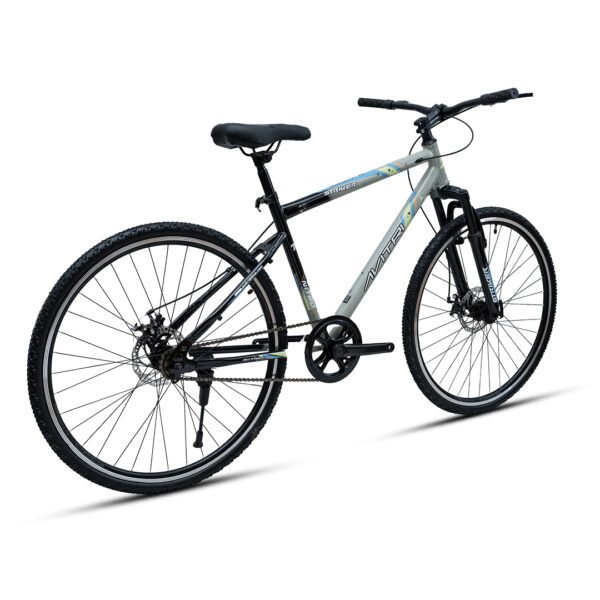 Striker 700C Multispeed - GREY - Image 3